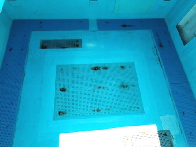 日野プロフィア活魚運搬車大型（10t）[写真09]