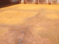 三菱ふそうファイターダンプ中型（4t）[写真13]