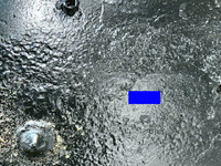 日野プロフィアアルミウイング大型（10t）[写真35]