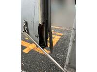 三菱ふそうキャンター冷凍車（冷蔵車）小型（2t・3t）[写真16]