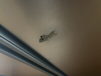 いすゞエルフアルミバン小型（2t・3t）[写真37]