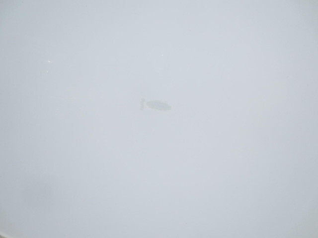 三菱ふそうファイター冷凍車（冷蔵車）中型（4t）[写真22]