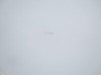 三菱ふそうファイター冷凍車（冷蔵車）中型（4t）[写真23]