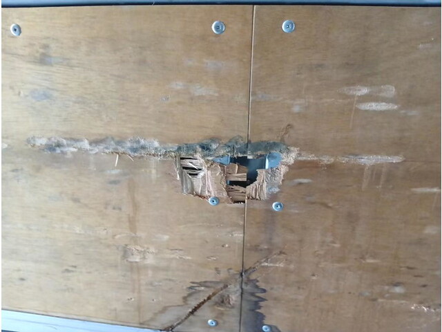 日野プロフィアアルミウイング大型（10t）[写真18]