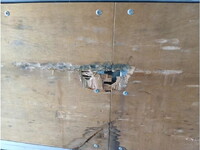 日野プロフィアアルミウイング大型（10t）[写真19]