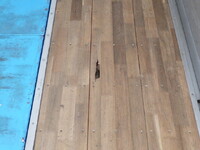 日野プロフィアアルミウイング大型（10t）[写真31]