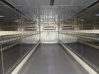 日野プロフィア冷凍車（冷蔵車）大型（10t）[写真15]