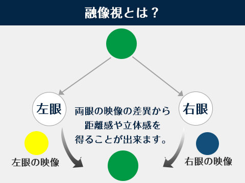 【関連記事】深視力とは？とギモンに思った方はコチラ！